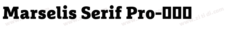 Marselis Serif Pro字体转换